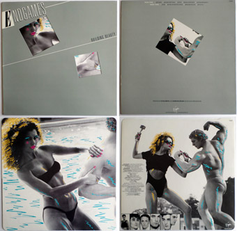 Endgames Building Beauty promotional album + inner picture lining