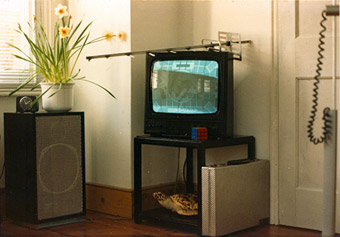 79 Ildecombe road interior