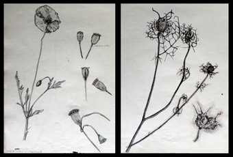 The sort of drawing we had to do to enter Cambridge Art School